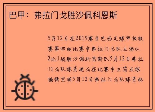 巴甲：弗拉门戈胜沙佩科恩斯